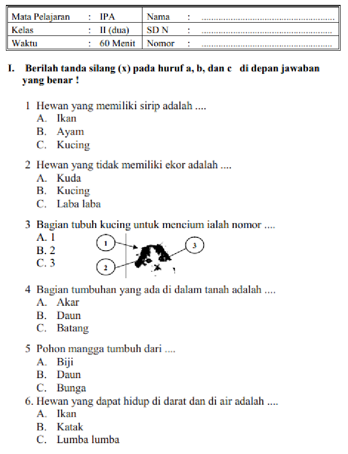 Soal Soal Ipa - Piffle me