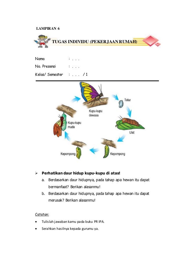 5 Contoh Soal Daur Hidup Hewan Kelas 4 yang Wajib Dikuasai Siswa Sebelum Terlambat 5 Contoh Soal Daur Hidup Hewan Kelas 4 yang Wajib Dikuasai Siswa Sebelum Terlambat