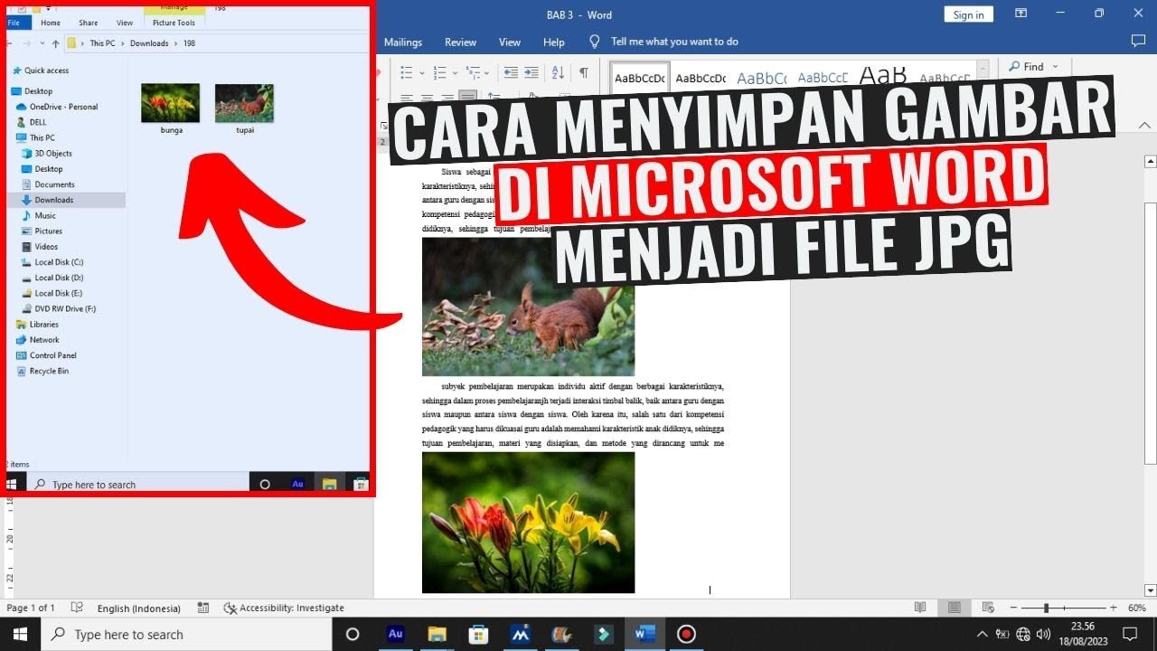 7 Rahasia Cara Mengubah Gambar di Word Menjadi Image JPG Sebelum Salah Langkah 7 Rahasia Cara Mengubah Gambar di Word Menjadi Image JPG Sebelum Salah Langkah